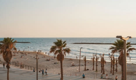 Beach and palm trees in Tel aviv